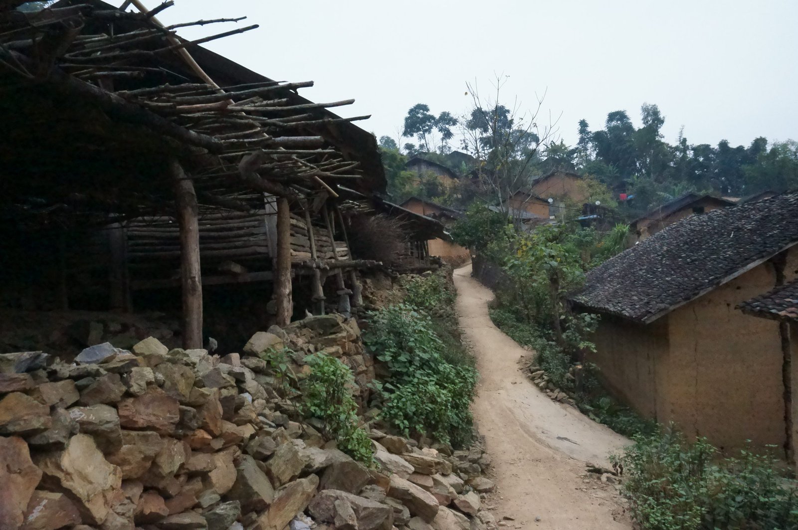 10-Day Ha Giang Loop & Hoang Su Phi Cycling Adventure